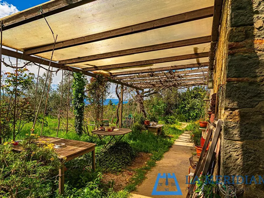 Immagine 56 di Casa colonica in vendita  a Lamporecchio