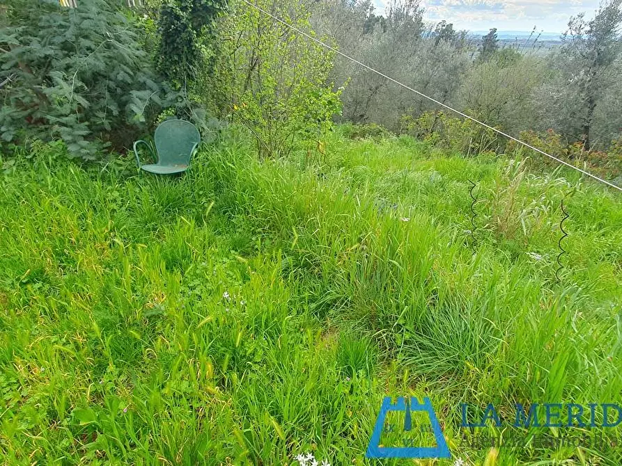 Immagine 35 di Casa colonica in vendita  a Lamporecchio