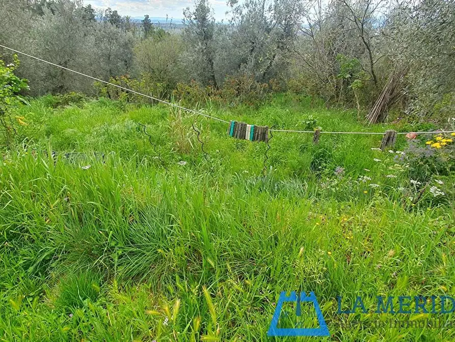 Immagine 34 di Casa colonica in vendita  a Lamporecchio