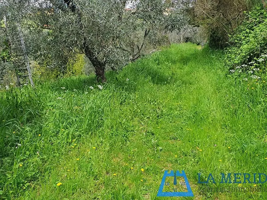 Immagine 45 di Casa colonica in vendita  a Lamporecchio