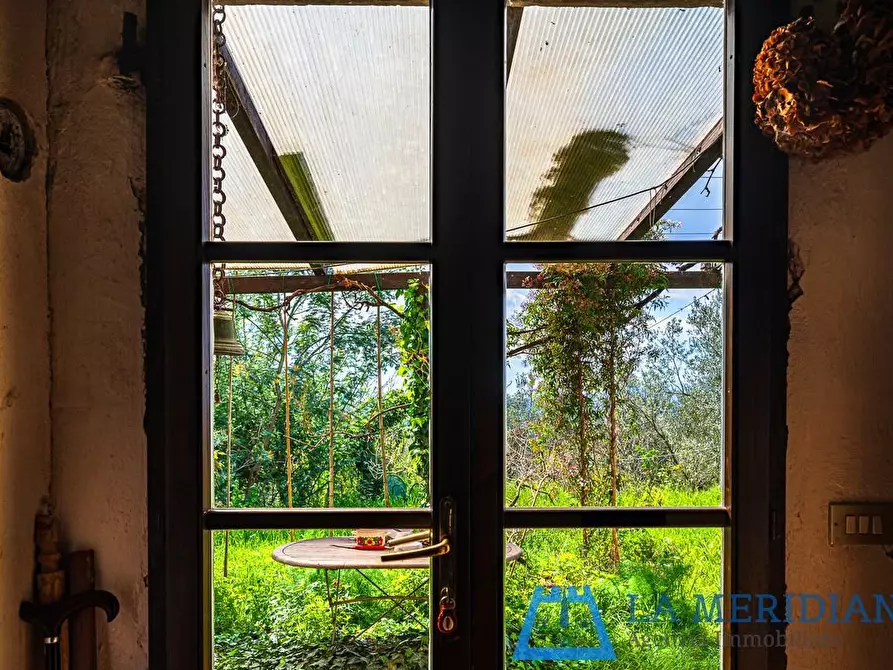 Immagine 51 di Casa colonica in vendita  a Lamporecchio