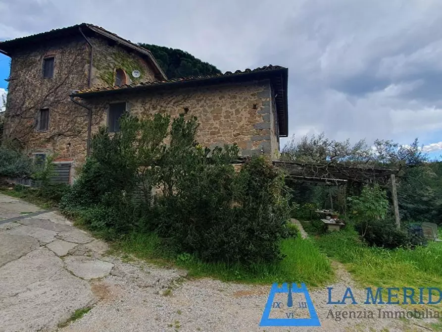 Immagine 66 di Casa colonica in vendita  a Lamporecchio
