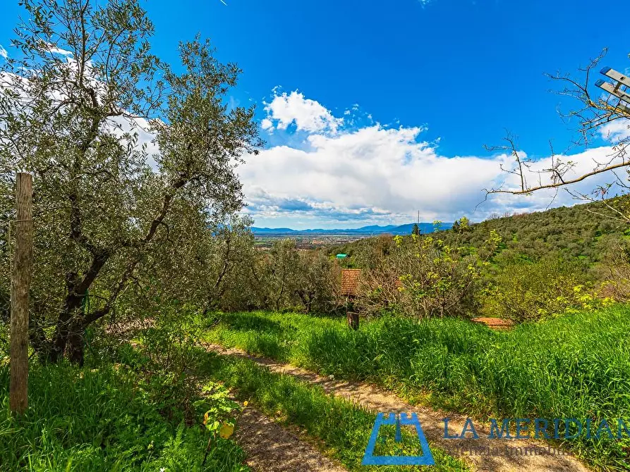 Immagine 52 di Casa colonica in vendita  a Lamporecchio