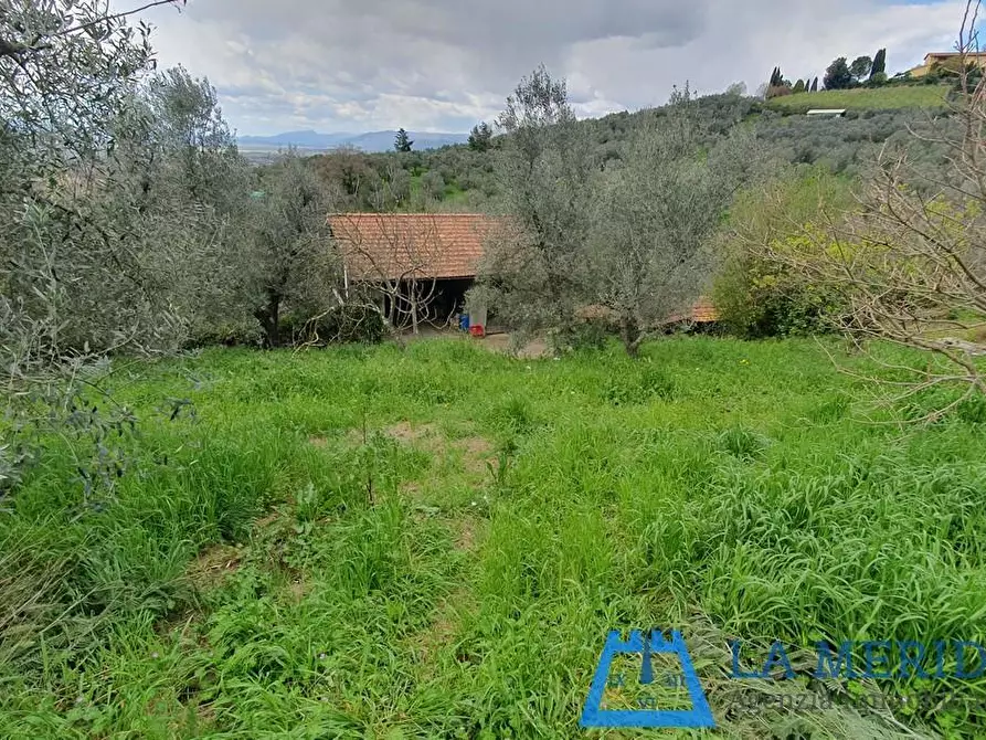 Immagine 36 di Casa colonica in vendita  a Lamporecchio