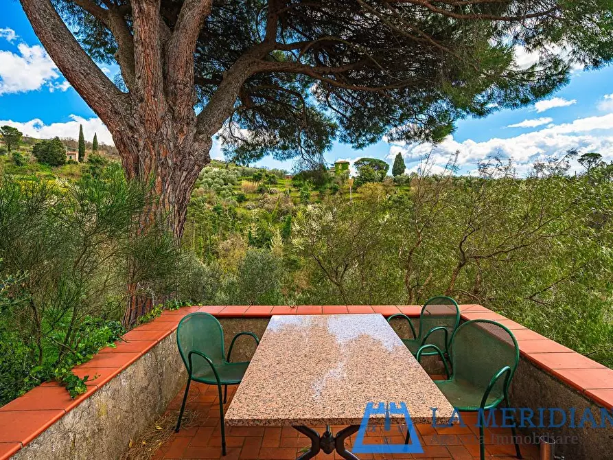 Immagine 62 di Casa colonica in vendita  a Lamporecchio