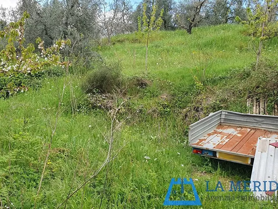 Immagine 43 di Casa colonica in vendita  a Lamporecchio