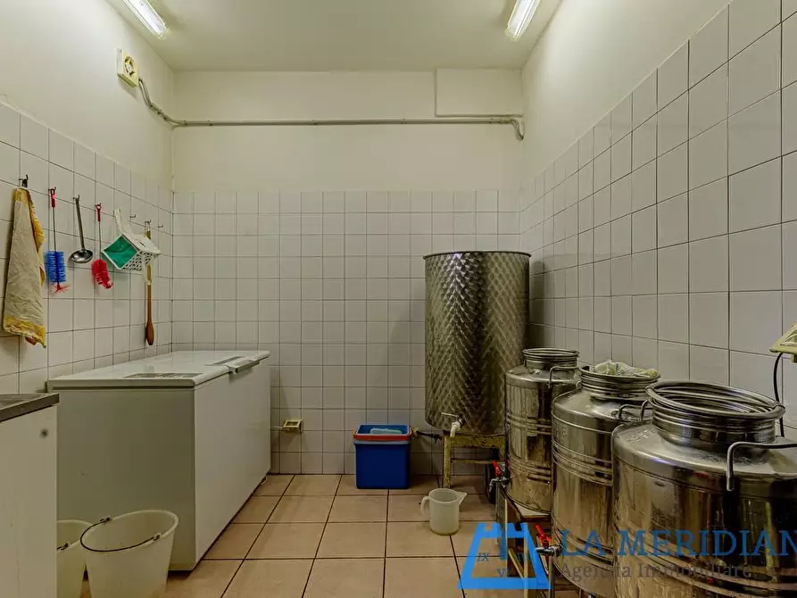 Immagine 50 di Casa colonica in vendita  a Lamporecchio