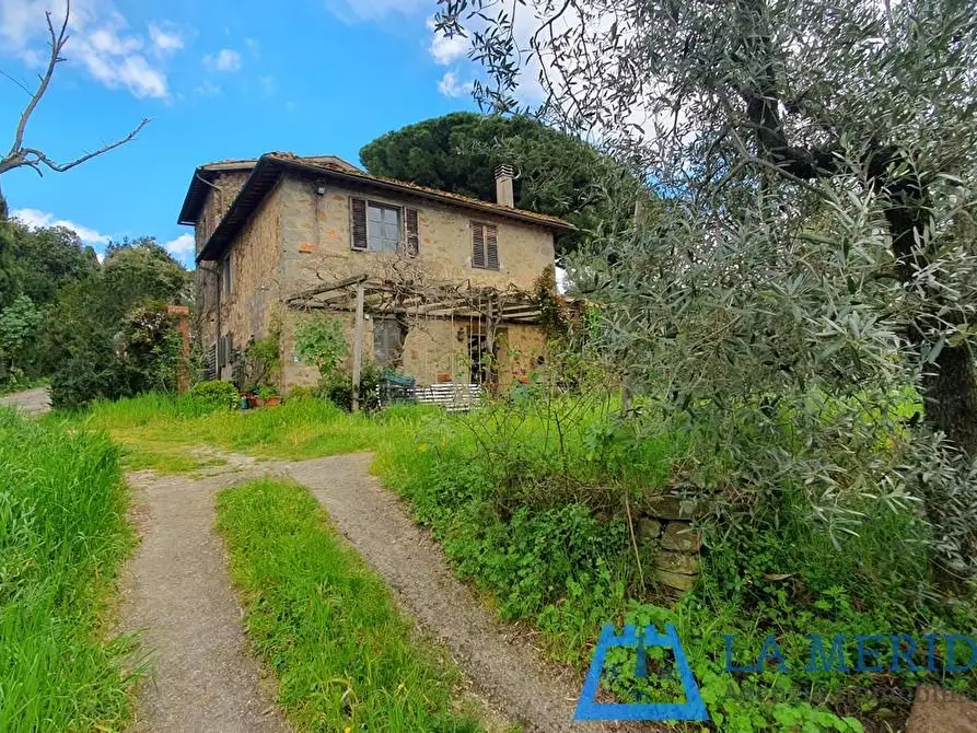 Immagine 39 di Casa colonica in vendita  a Lamporecchio