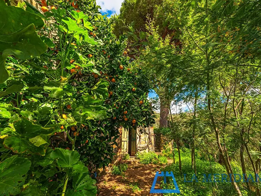 Immagine 55 di Casa colonica in vendita  a Lamporecchio