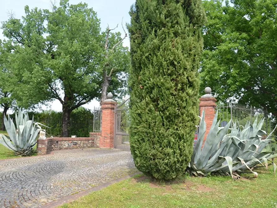 Immagine 8 di Rustico / casale in vendita  a Lucca