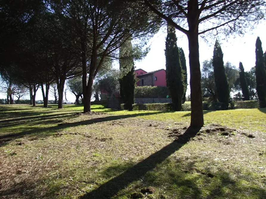 Immagine 7 di Rustico / casale in vendita  a Lucca