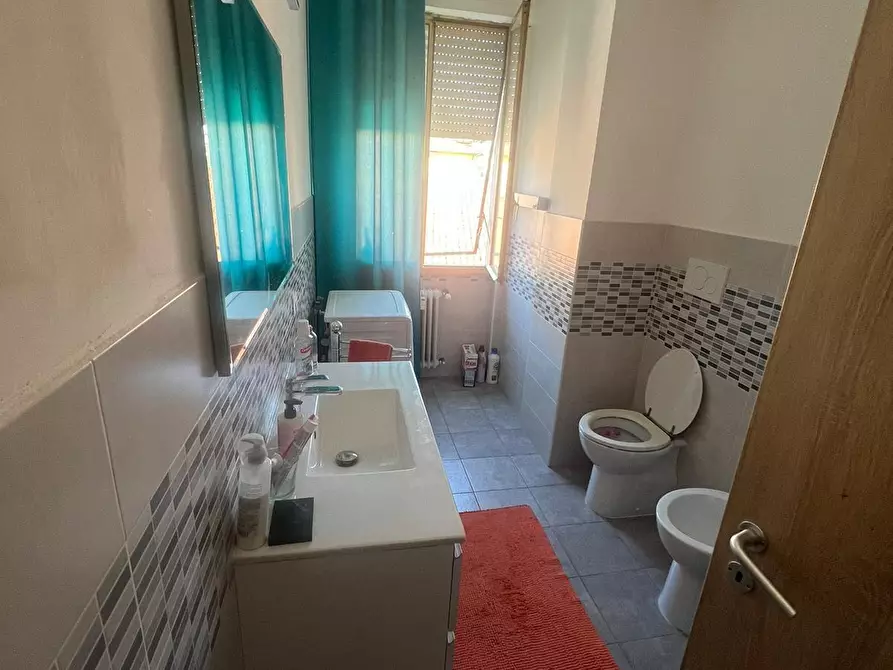 Immagine 12 di Appartamento in affitto  a Pisa