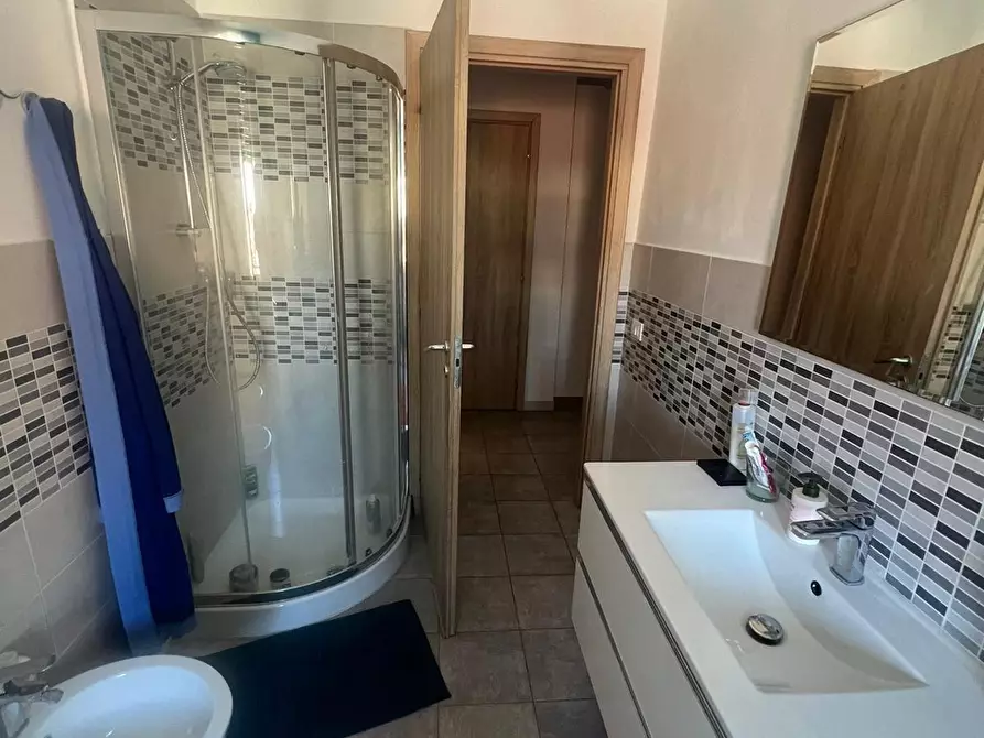 Immagine 11 di Appartamento in affitto  a Pisa