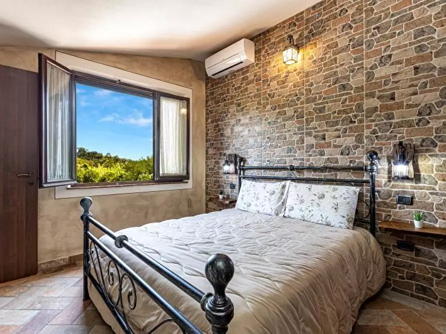 Immagine 16 di Terratetto in vendita  a Palaia