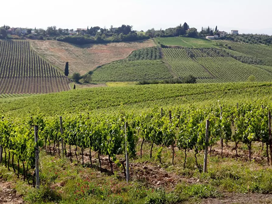 Immagine 5 di Casa colonica in vendita  a Cerreto Guidi