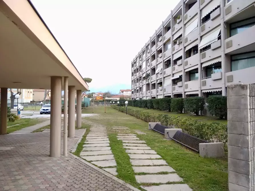 Immagine 23 di Appartamento in vendita  a Camaiore