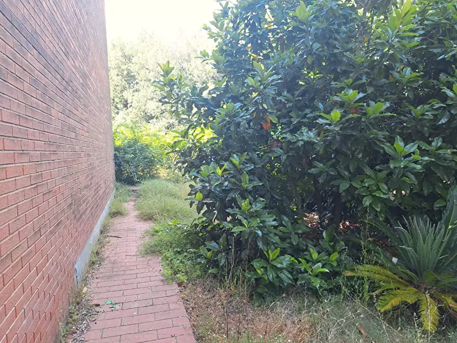 casa indipendente in vendita a Capannori in zona Guamo