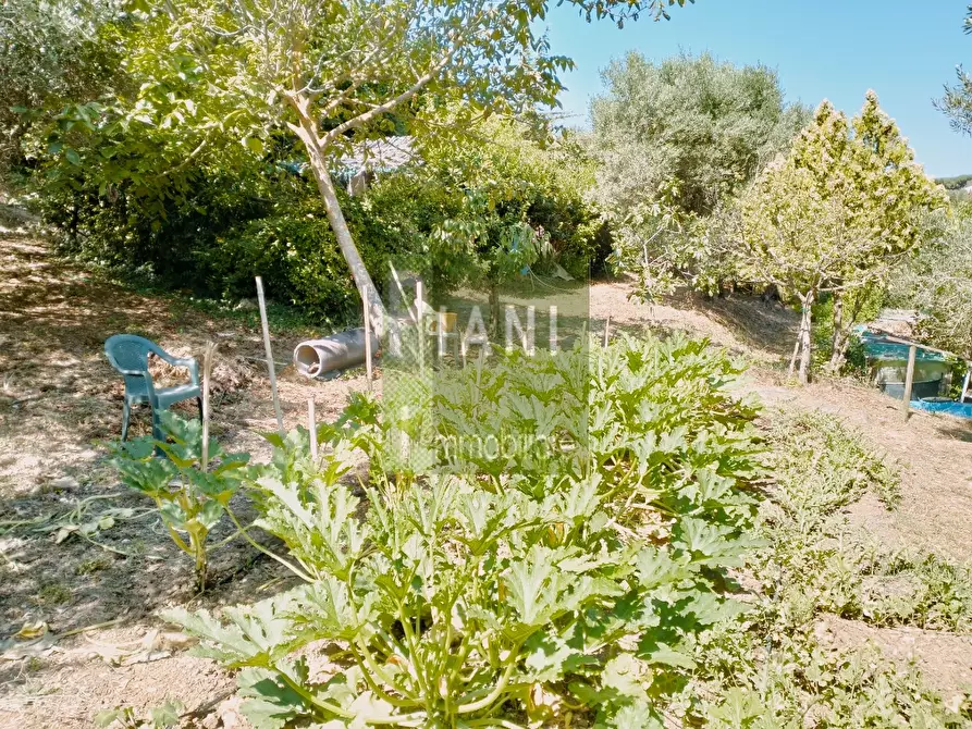 Immagine 1 di Terreno agricolo in vendita  a Livorno