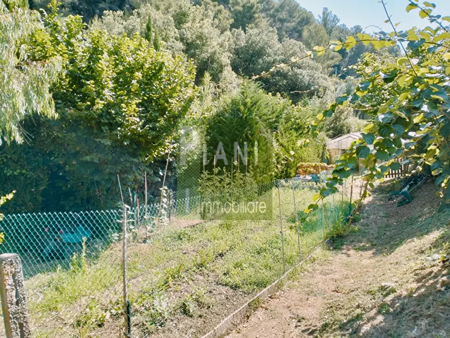 Immagine 3 di Terreno agricolo in vendita  a Livorno