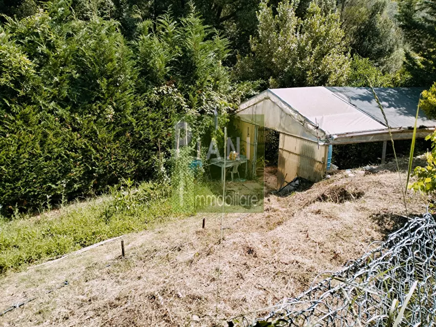 Immagine 5 di Terreno agricolo in vendita  a Livorno