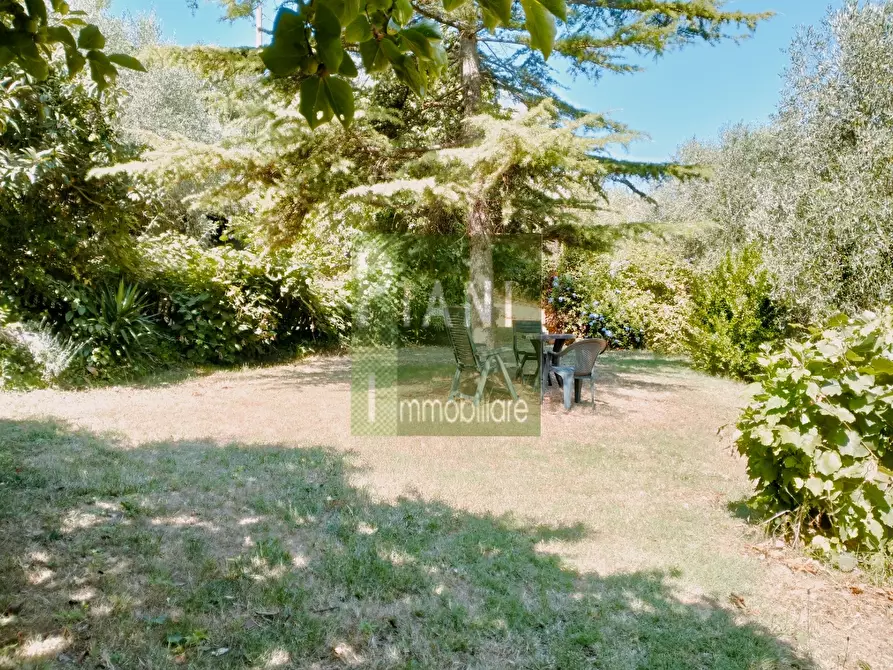 Immagine 7 di Terreno agricolo in vendita  a Livorno