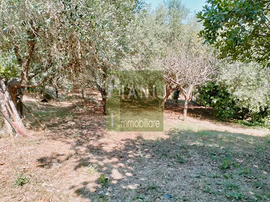 Immagine 2 di Terreno agricolo in vendita  a Livorno