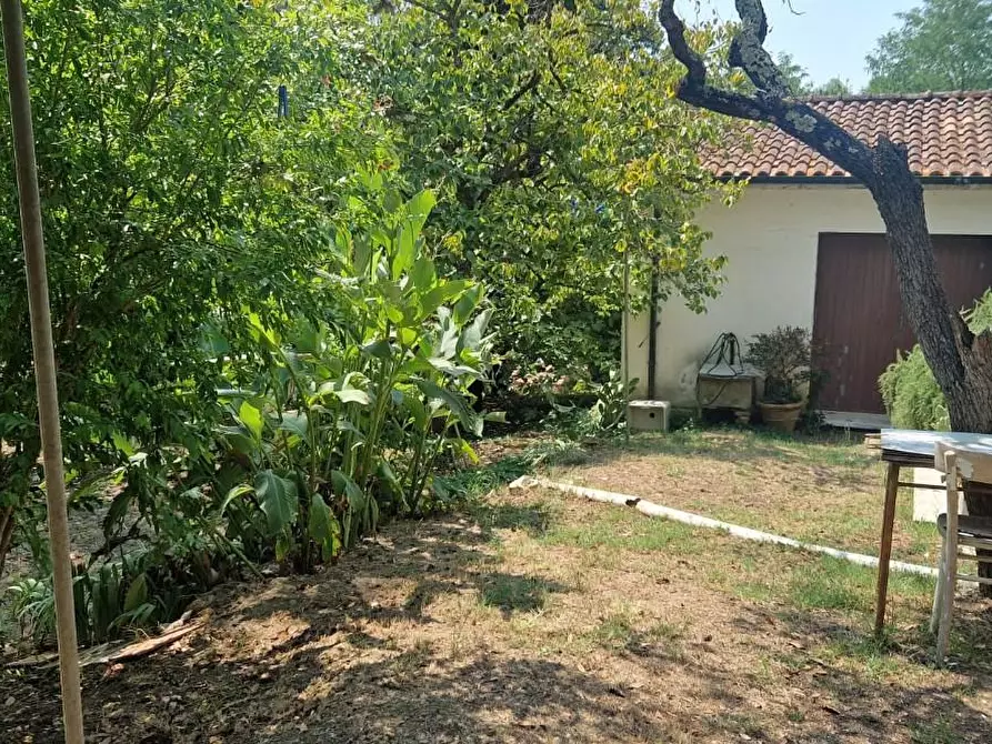 Immagine 35 di Porzione di casa in vendita  a Fauglia