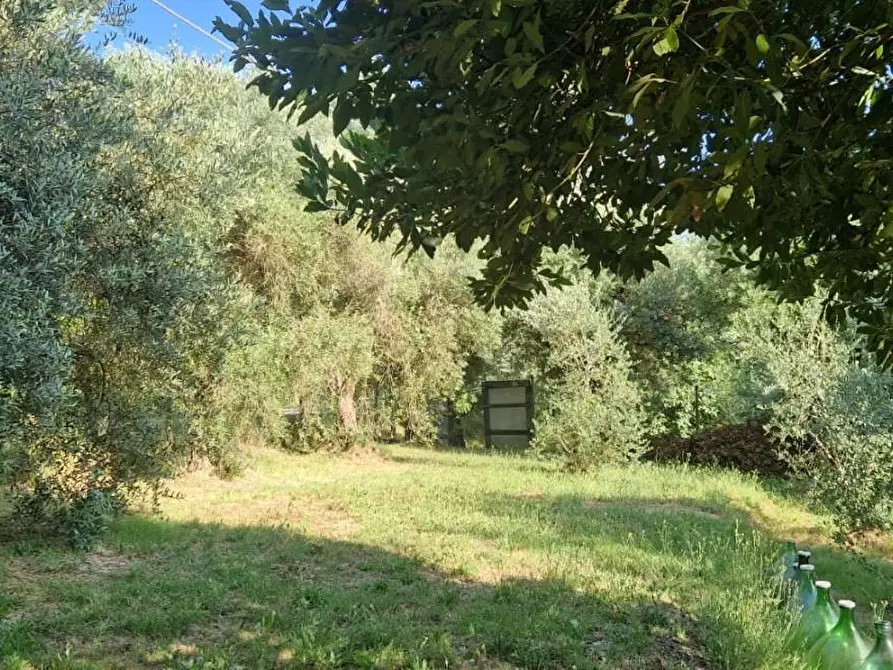 Immagine 2 di Porzione di casa in vendita  a Fauglia