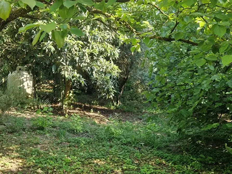 Immagine 17 di Porzione di casa in vendita  a Fauglia