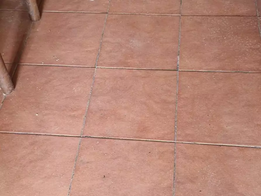 Immagine 11 di Porzione di casa in vendita  a Fauglia