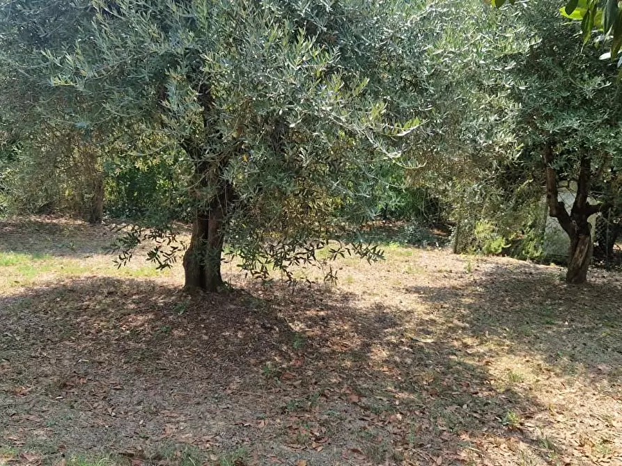 Immagine 25 di Porzione di casa in vendita  a Fauglia