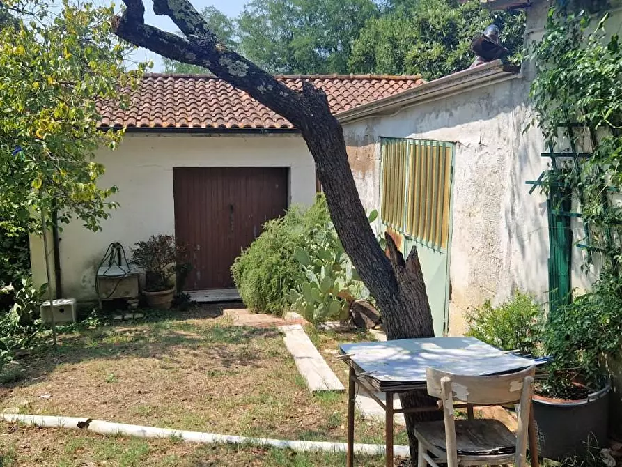Immagine 20 di Porzione di casa in vendita  a Fauglia