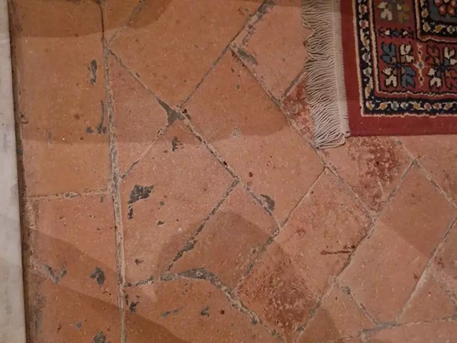 Immagine 10 di Porzione di casa in vendita  a Fauglia