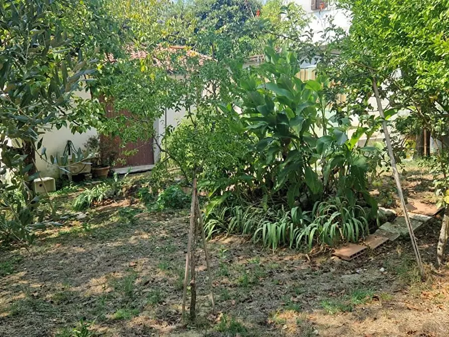 Immagine 34 di Porzione di casa in vendita  a Fauglia