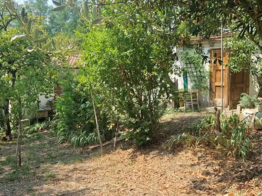 Immagine 24 di Porzione di casa in vendita  a Fauglia