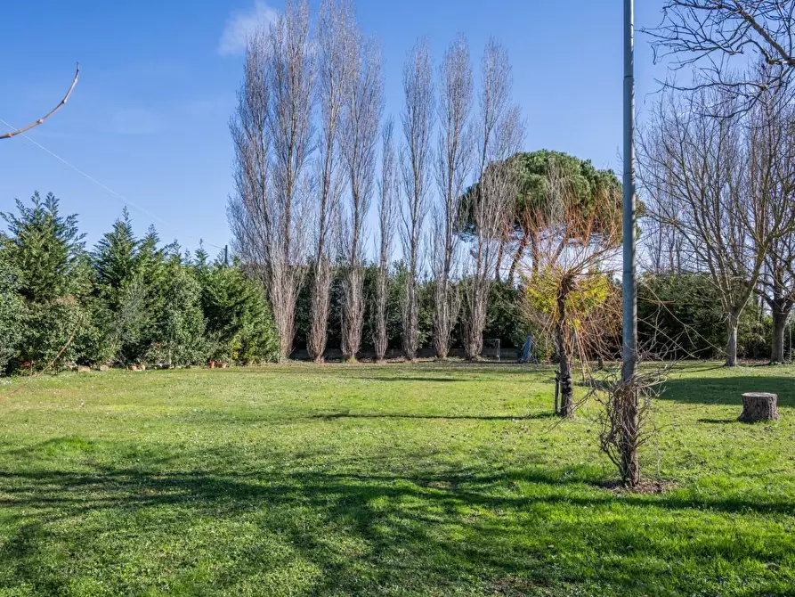 Immagine 26 di Villa in vendita  a Pontedera