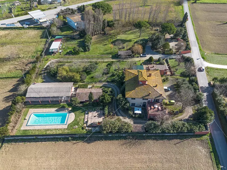 Immagine 8 di Villa in vendita  a Pontedera