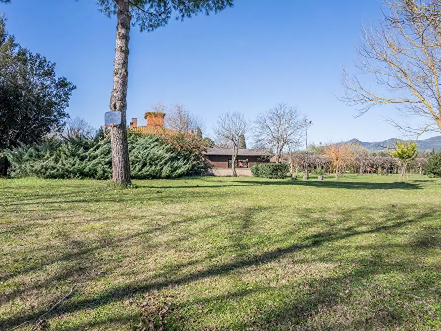 Immagine 29 di Villa in vendita  a Pontedera