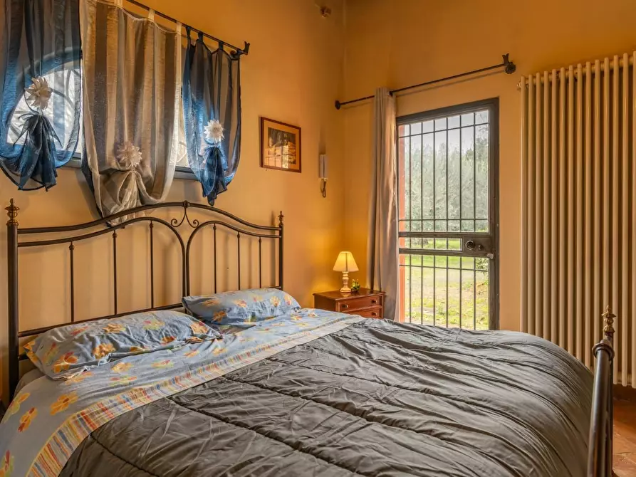 Immagine 42 di Villa in vendita  a Pontedera