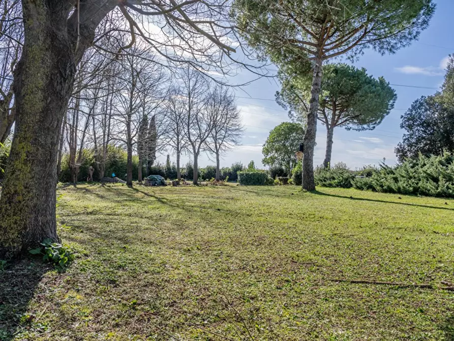 Immagine 28 di Villa in vendita  a Pontedera