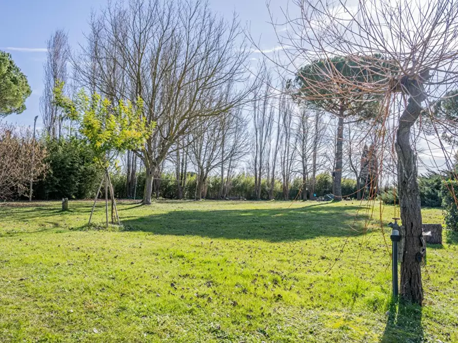 Immagine 27 di Villa in vendita  a Pontedera