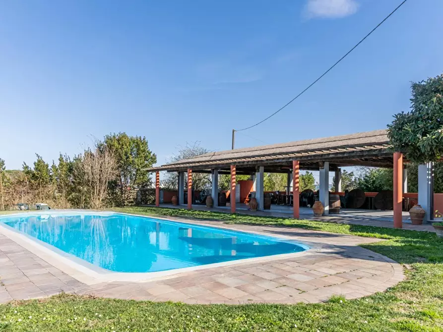 Immagine 7 di Villa in vendita  a Pontedera