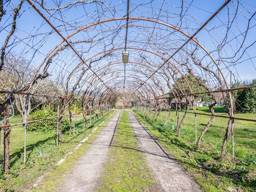 Immagine 25 di Villa in vendita  a Pontedera