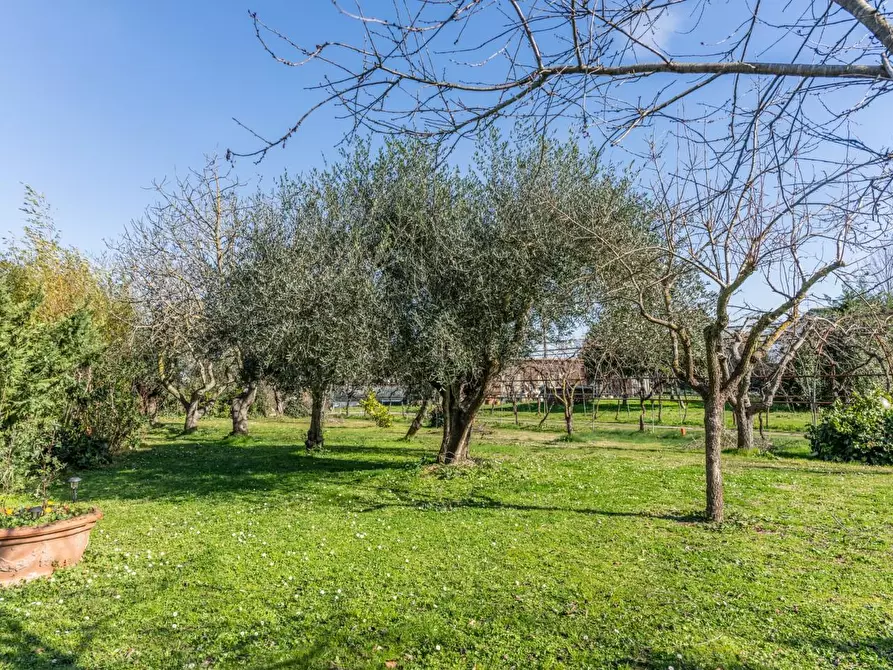 Immagine 22 di Villa in vendita  a Pontedera