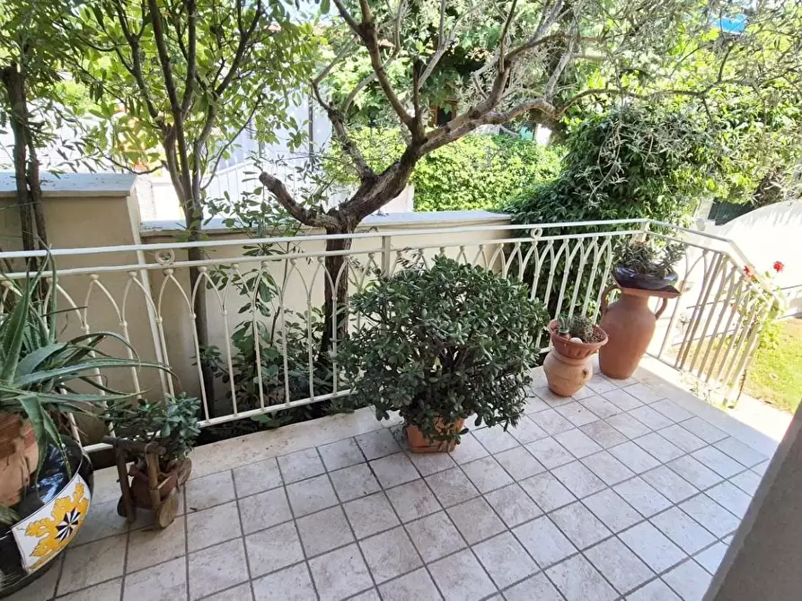 Immagine 4 di Casa trifamiliare in vendita  a Camaiore