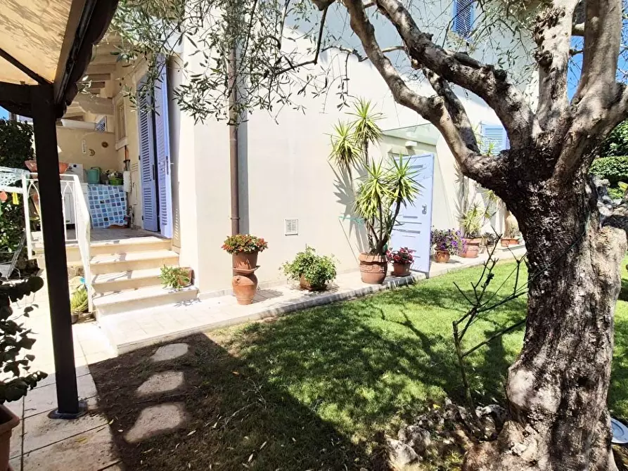 Immagine 22 di Casa trifamiliare in vendita  a Camaiore