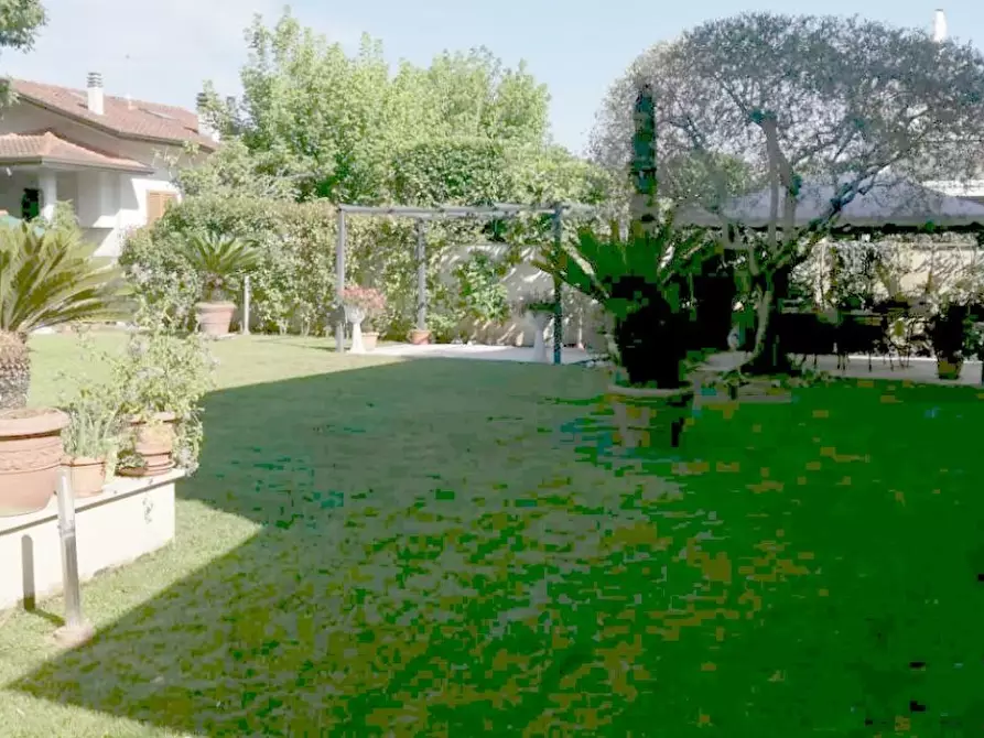 Immagine 62 di Casa trifamiliare in vendita  a Camaiore