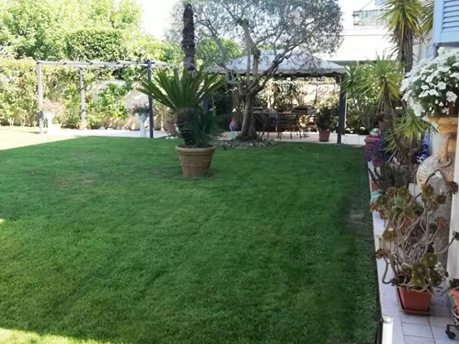 Immagine 61 di Casa trifamiliare in vendita  a Camaiore