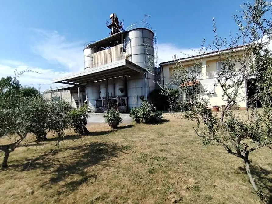 Immagine 5 di Attività artigianale in vendita  a Massa