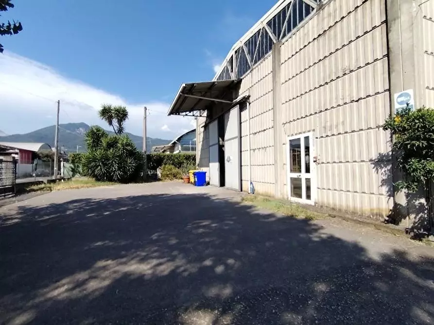 Immagine 1 di Attività artigianale in vendita  a Massa